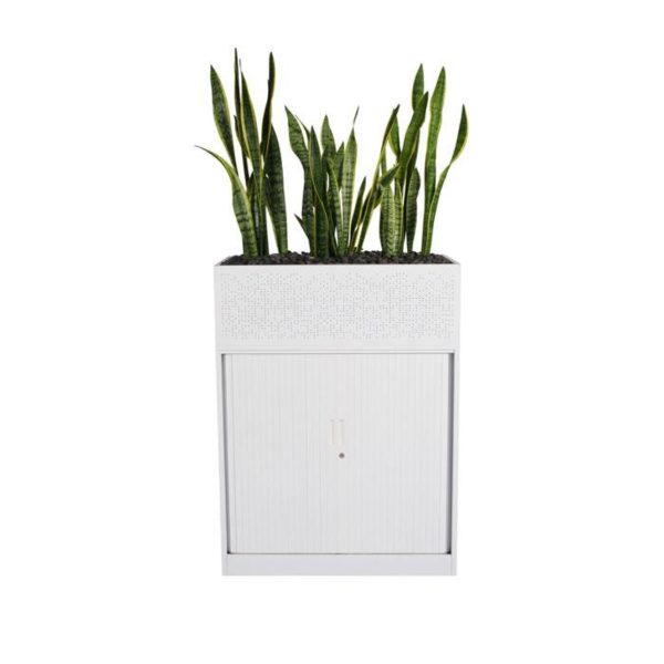 Cosmos Perforated Planter